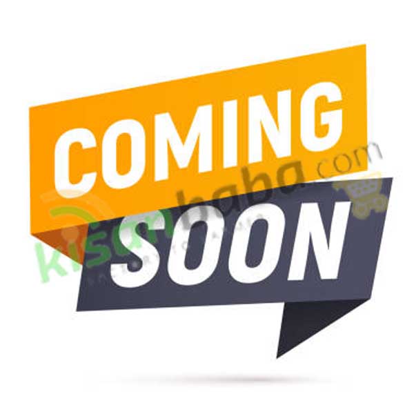 Crown Solar Power Fencing Systems in Dehradun